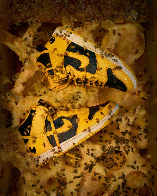 Nike Dunk High x Wu-Tang (2024)